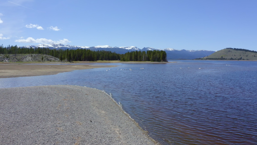 Flying over Hebgen Lake as Pelicans fly above the water on sunny day.