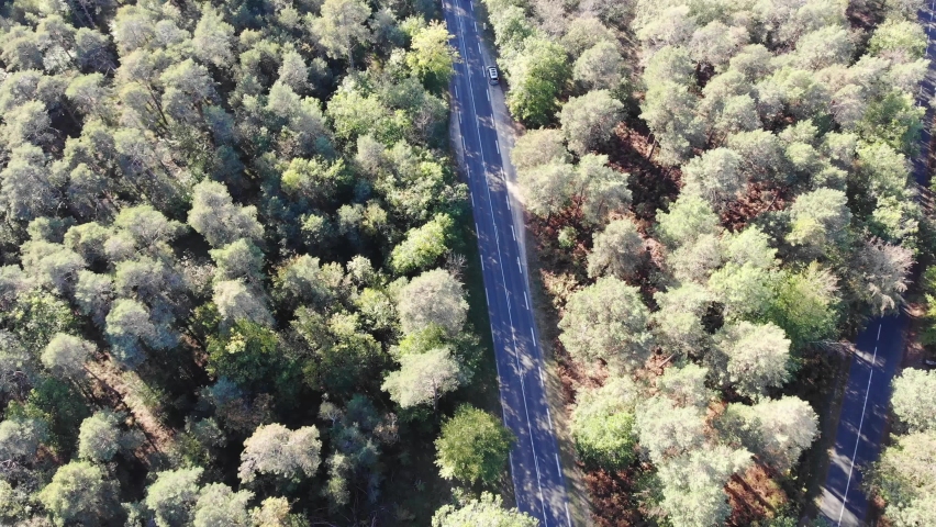 Scenic aerial view of a road through the forest in northern France