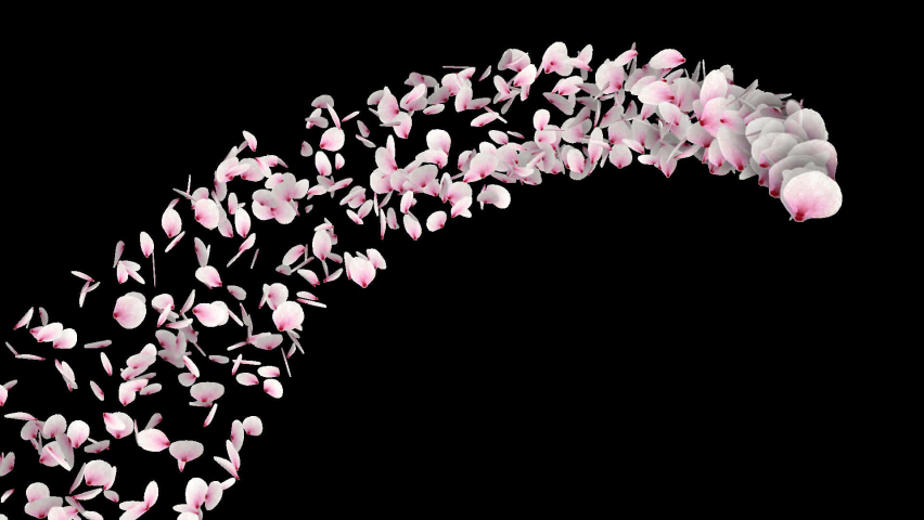 Sakura cherry blossom petal transitions and reveal element. With Alpha Channel. Royalty-Free Stock Footage #1073672021