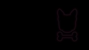 Glowing neon line Dog and bone icon isolated on black background. Pets food symbol. 4K Video motion graphic animation.