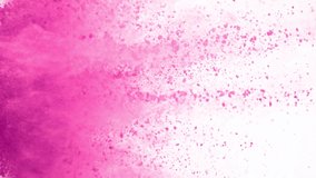 Super Slow Motion Shot of Pink Powder Explosion Isolated on White Background at 1000fps. - Powered by Shutterstock - Get 15% off with code: PIKWIZARD15