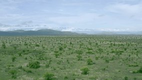Aerial view of African savannah. Green Ethiopia landscape with mountains and ridges over background. Drone video of the Omo Valley in Ethiopia Africa.