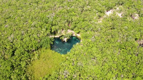 Heart shaped cenote in the middle of a jungle in Tulum, Mexico. Beautiful heart in nature. Romantic love style concept. 