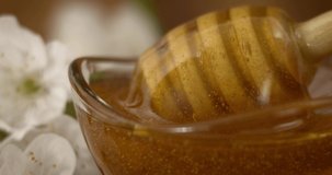 Honey dripping, pouring from honey dipper in wooden glass bowl in wooden table and background with white peach flowers. Close-up. 4K video footage. Slow motion.