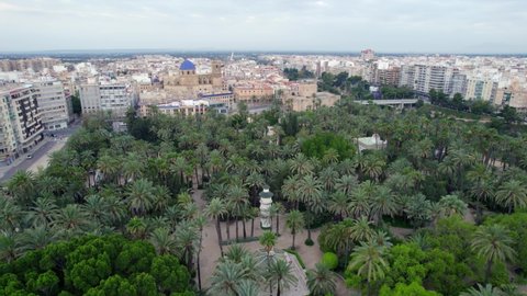Drone flying forward over a palm grove with Elche (Spain) city at background during golden hour at sunrise. May (Spring). 