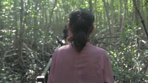 Travel concept of 4k Resolution. An old woman walking happily in the mangrove forest.