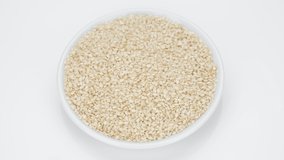 sesame seeds in plate, white background. 4K UHD video
