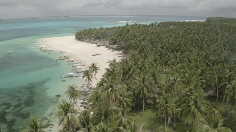 4K Aerial footage of tropical Guyam Island in Siargao Philippines. White sandy beach with tons of boats and flying over hundreds of palm trees.