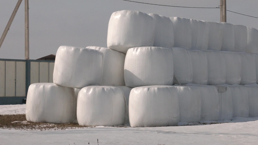 stored bags of silage in the snow wayside. Large number of wrapped bale silages stacked up at the farm

