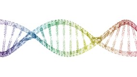 Abstract rainbow colors digital plexus DNA molecule structure, motion medical background with colorful Seamless Loop on white background - Powered by Shutterstock - Get 15% off with code: PIKWIZARD15