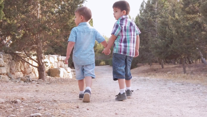 Cute boys, brothers two preschool boys holding hands and walking in the park. Back view slow motion. High quality FullHD footage