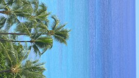 Vertical video of view at beatiful tropical Waikiki coastline in Hawaii in 4k slow motion 60fps