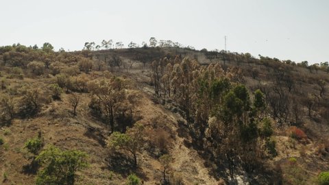 Flying Towards Wood Mountains Affected By Bushfire On Portugal. - Aerial Drone Shot