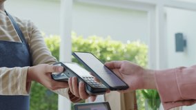 Close-up hand asia woman people work in small sme coffee café shop store owner use cashless wifi paywave nfc scan app smart pos reader sale in take out food drink order in urban city life contactless. - Powered by Shutterstock - Get 15% off with code: PIKWIZARD15