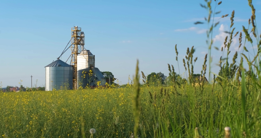 Modern Granary elevator near rapeseed field. Silver silos on agro-processing and manufacturing plant for processing drying cleaning and storage of agricultural products.  