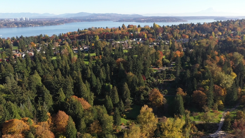 Cinematic drone footage of UW Botanic Gardens, Washington Park Arboretum, Montlake, Broadmoor, Madison Park, Madison Valley, Lake Washington and surrounding suburbs, in King County, Washington