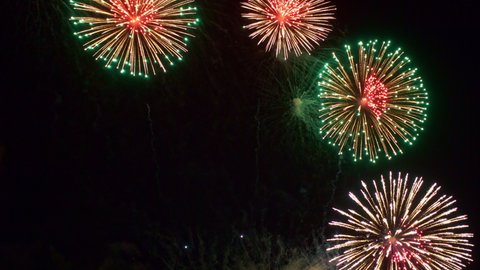 Streaks of light explode into multiple brightly colored fireworks.