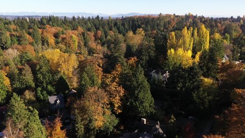 Aerial - drone footage of UW Botanic Gardens, Washington Park Arboretum, Montlake, Broadmoor, Madison Park, Madison Valley, Lake Washington and surrounding suburbs, in King County, Washington