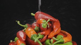 Slow motion. Falling stream of water onto a rotating heap of ripe hot peppers. Isolated. Black background - Powered by Shutterstock - Get 15% off with code: PIKWIZARD15