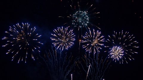 Fireworks of purple and gold set the night sky humming with excitement. 