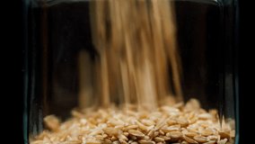 Close-up of falling down barley into glass jar on black background. Shooting of seeds and groats in studio. Macro footage of pouring out the grits. Food cooking video. 