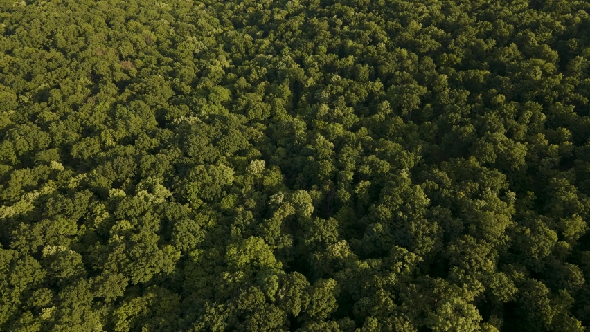 4K Aerial view of Beautiful footage of tropical Rainforest in Amazon, Amazon forest jungle in Brazil. Royalty-Free Stock Footage #1073852990