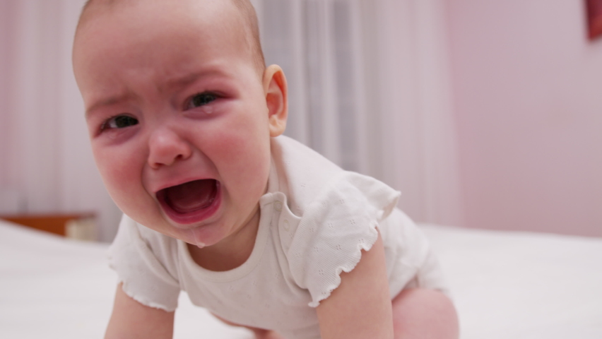 Crying baby. Baby tantrum. Toddler crying. Toddler seeking support. Crying baby. | Shutterstock HD Video #1073861090
