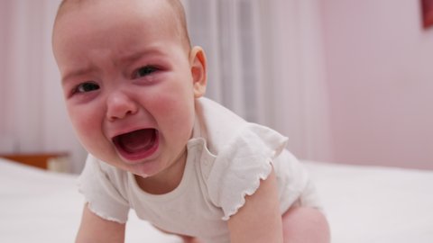 Crying baby. Baby tantrum. Toddler crying. Toddler seeking support. Crying baby.