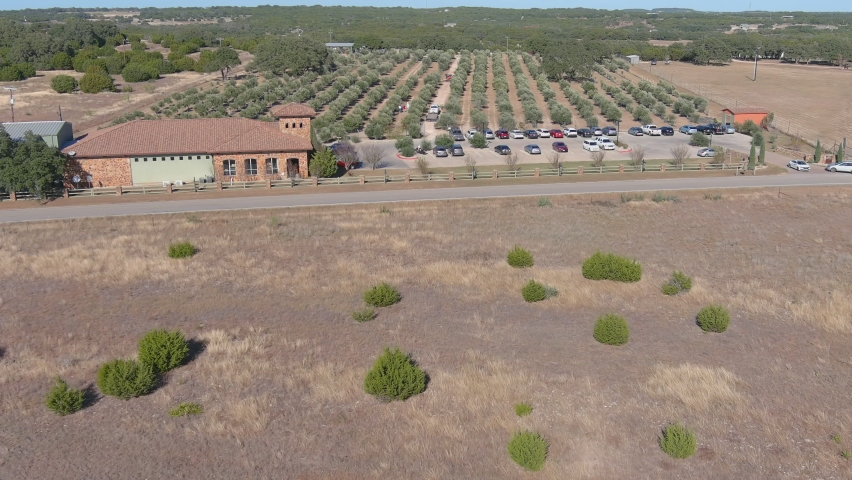 Olive Farm in Fredericksburg Texas