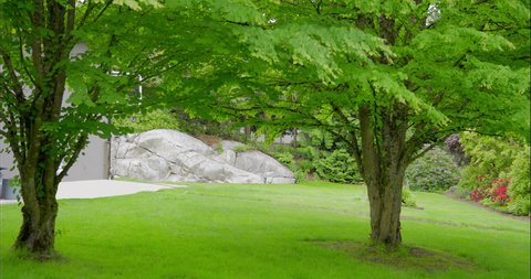 Establishing shot of nice outdoor landscape with green lawn, big rock and green background in Vancouver, Canada, North America. Overcast. Day time on June 2021. Still camera view. ProRes 422 HQ.