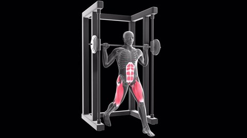 This 3d animation shows an xray man performing static lunges at the multipower