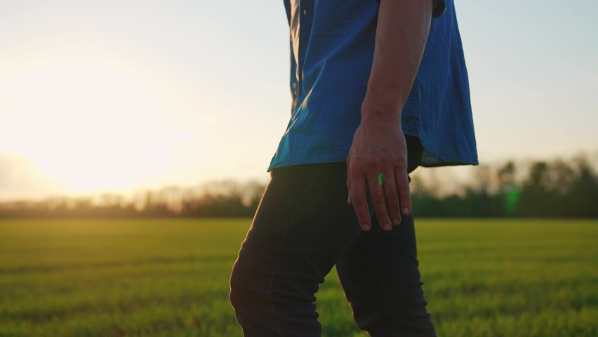 agriculture. man farmer a agronomist hand walk green field of crop wheat grass. agriculture farming business concept. farmer silhouette walk. agriculture sunset healthy food farming business concept Royalty-Free Stock Footage #1073890271