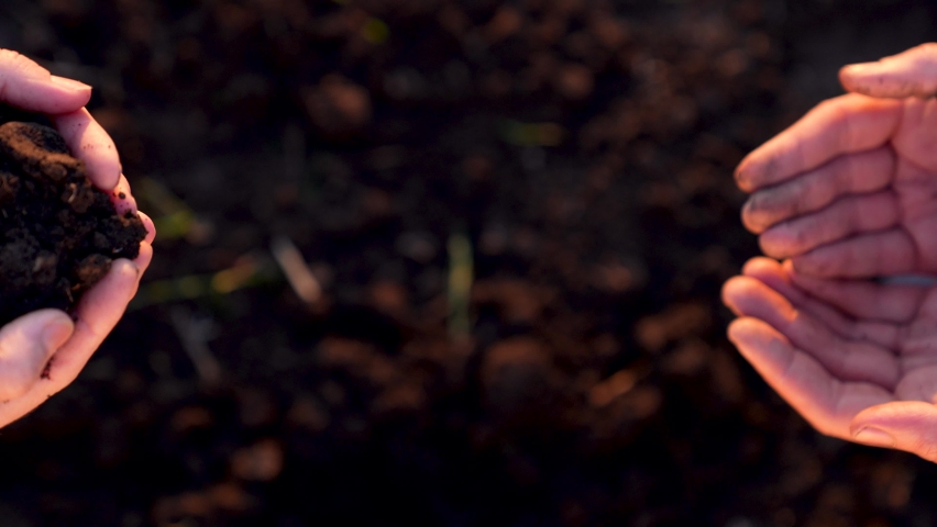 Agriculture. Farmer hands are holding plant embryo.Teamwork with fertile soil. Teamwork in agriculture. Farmer plants plant in soil. Farmer hands are holding embryo of plant with soil.Organic farming Royalty-Free Stock Footage #1073914298