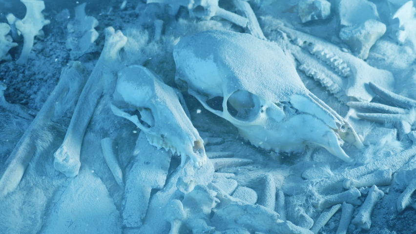 Snow Falls On Caveman Tools And Skulls Ice Age Concept