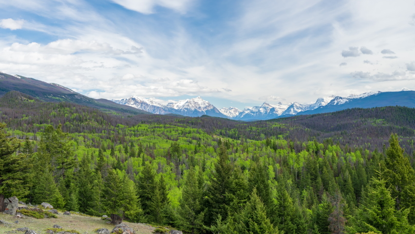 Beautiful landscape of Jasper National Park in summer, Alberta, Canada. Panorama view of forest valley and mountain range.