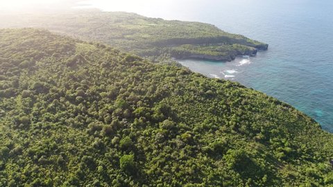 Aerial forward over forest surrounding Madama beach, Samana in Dominican Republic