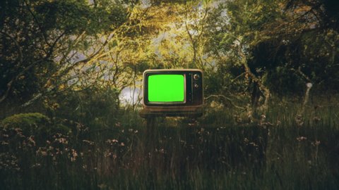 Green Screen Television Vintage Technology In Woods Zoom In TV. Vintage television with green screen left on a beautiful natural landscape. zoom in