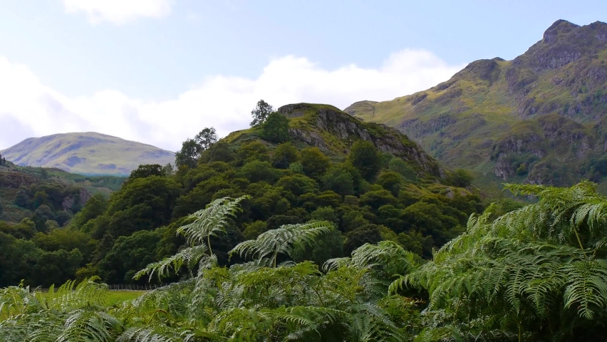 Tranquil view of Dundurn Hill Fort with moving bracken and vegetation in the foreground. Filmed near St. Fillans, Scotland.