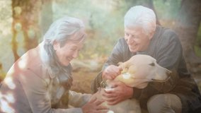 Animation of glowing light over portrait of happy senior couple stroking dog. retirement and senior life concept digitally generated video.