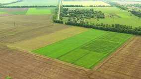 Green fields, spring crops, 4K drone video