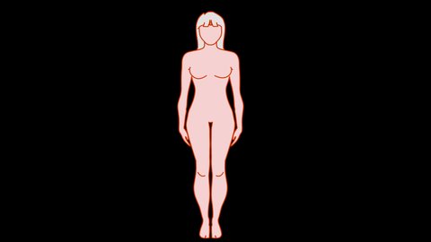 Water rate in the woman body is  percent. Proportion stages H2O. Female silhouette, filled with gradual, step 30, 70 100 % liquid ratio. Skin, blue figure. Black flat background. Health footage video