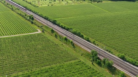 Traffic red train aerial view. The movement of a red train at high speed between the vineyards, top view.