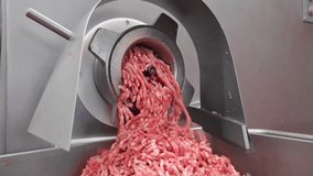 Making minced meat in an electric meat grinder from fresh beef at the meat processing plant. mincer machine with fresh chopped meat. High quality 4k footage