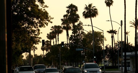 Sunset view of a palmed line street in downtown Anaheim, California, USA.