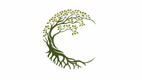 Circle Tree Animation Logo Footage. this beautiful tree is a symbol of life, beauty, growth, strength, and good health. 