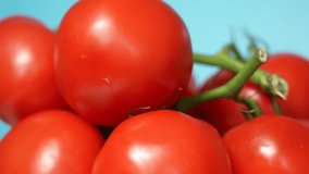 Close-up side view 4k stock video footage of red organic tomatoes isolated on light blue background spinning around slowly