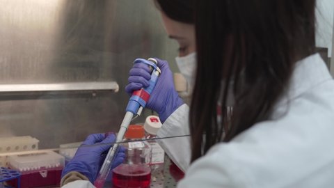 Female scientist taking sample with micropipette from tubes with pink chemical compounds (cell medium) in the laboratory. Shot of hands from the back.