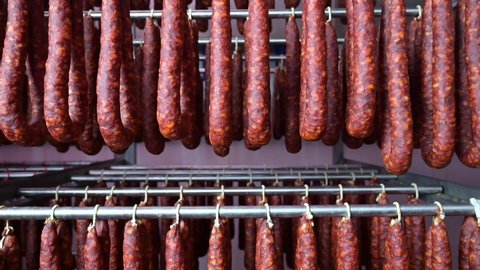 Close up view of typical Spanish dried sausage, Chorizo, hanging on rack at meat processing plant storage room. High quality FullHD footage