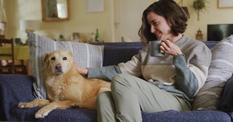 Smiling caucasian woman stroking her pet dog sitting on sofa at home. lifestyle, pet, companionship and animal friendship concept.