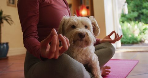 Caucasian woman practicing yoga with her pet dog at home. lifestyle, fitness, pet, companionship and animal friendship concept.